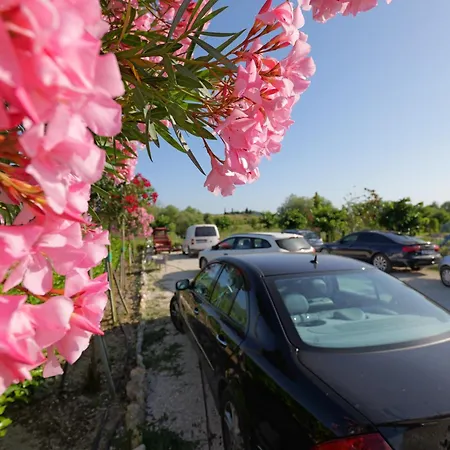 Mesopotam Agrotourism