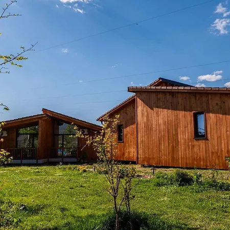 ロッジ Mesopotam Agrotourism