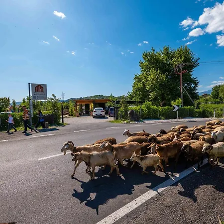 Mesopotam Agrotourism ロッジ *
