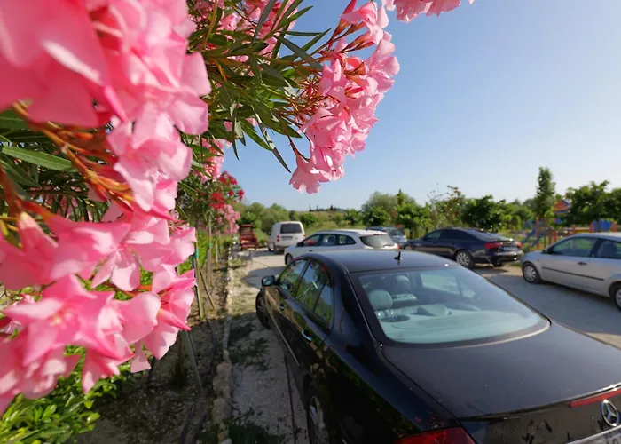 Mesopotam Agrotourism