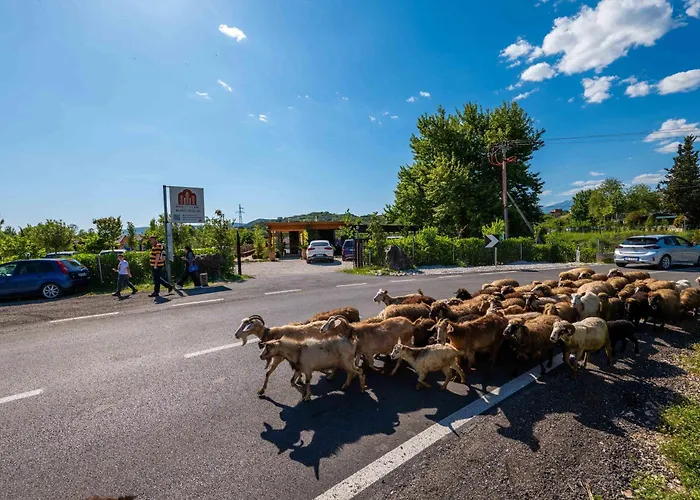 Mesopotam Agrotourism 山林小屋 *